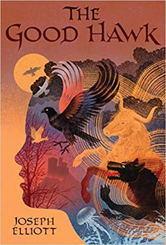 Joseph Elliott: Good Hawk (2020, Candlewick Press)