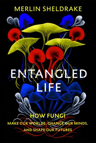 Entangled Life (Paperback, 2020, The Bodley Head)