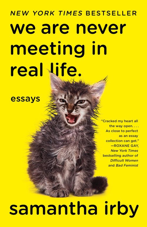 We are never meeting in real life (2017, Vintage Books)