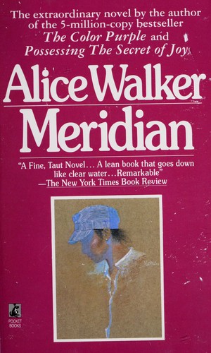 Alice Walker: Meridian (Paperback, 1986, Pocket bks)