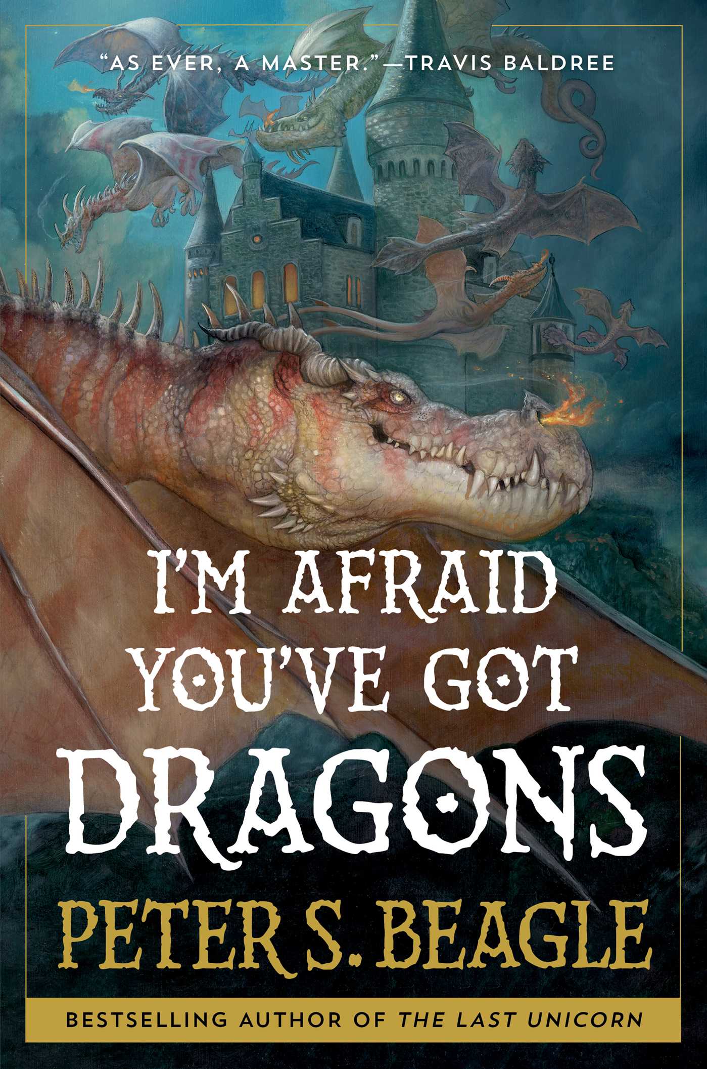 I'm Afraid You've Got Dragons (2024, Simon & Schuster Books For Young Readers)