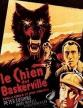 Le Chien des Baskerville (French language, 2010, Au Fil des Lectures)