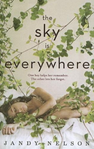 The Sky Is Everywhere (Hardcover, 2011, Perfection Learning)