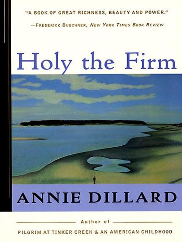 Annie Dillard: Holy the Firm (EBook, 2007, HarperCollins)