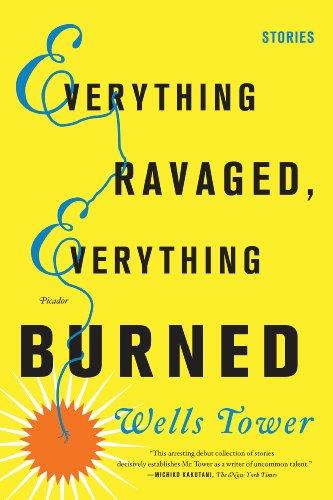 Everything Ravaged, Everything Burned (Paperback, 2010, Picador)