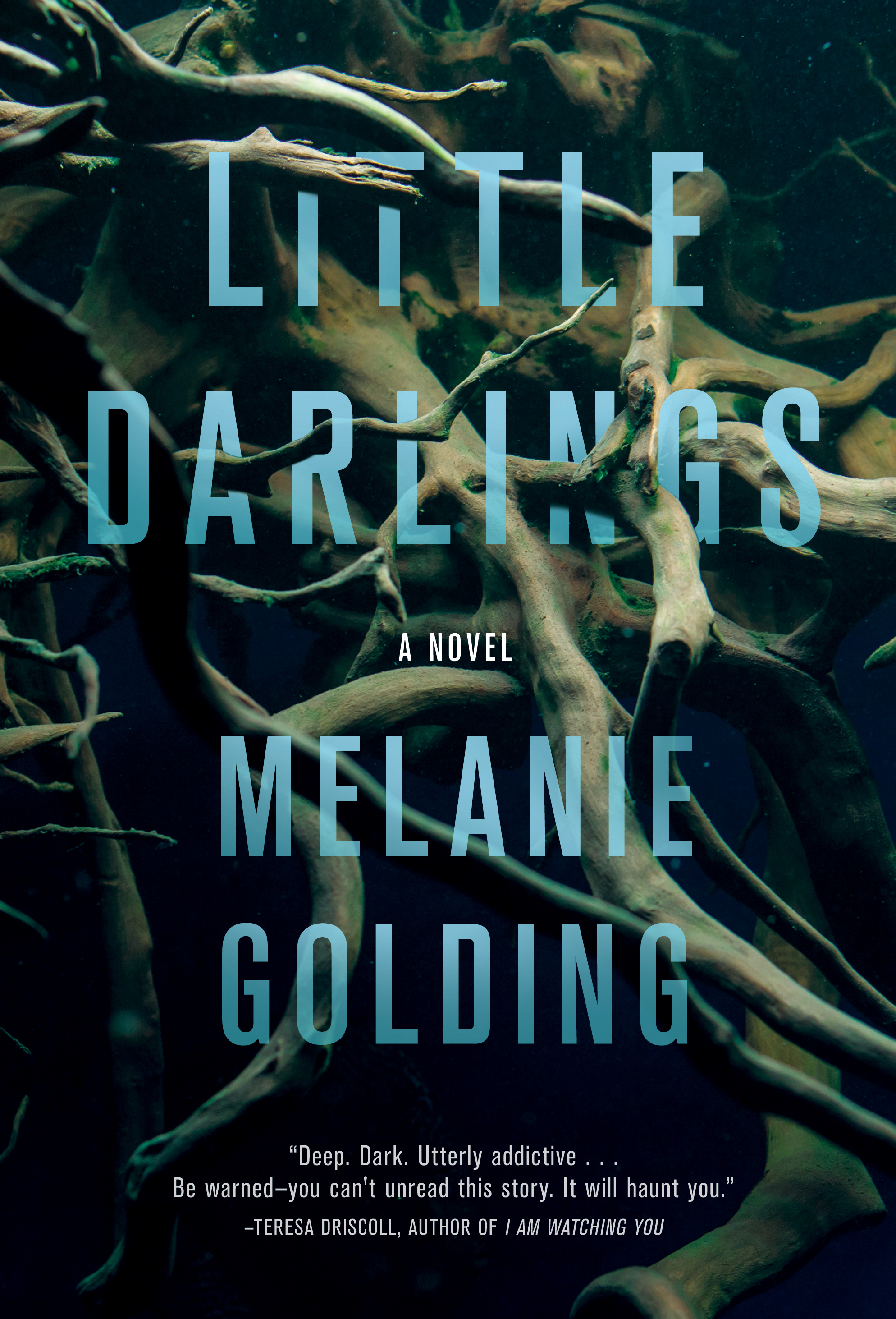 Little Darlings (2019, Crooked Lane Productions)