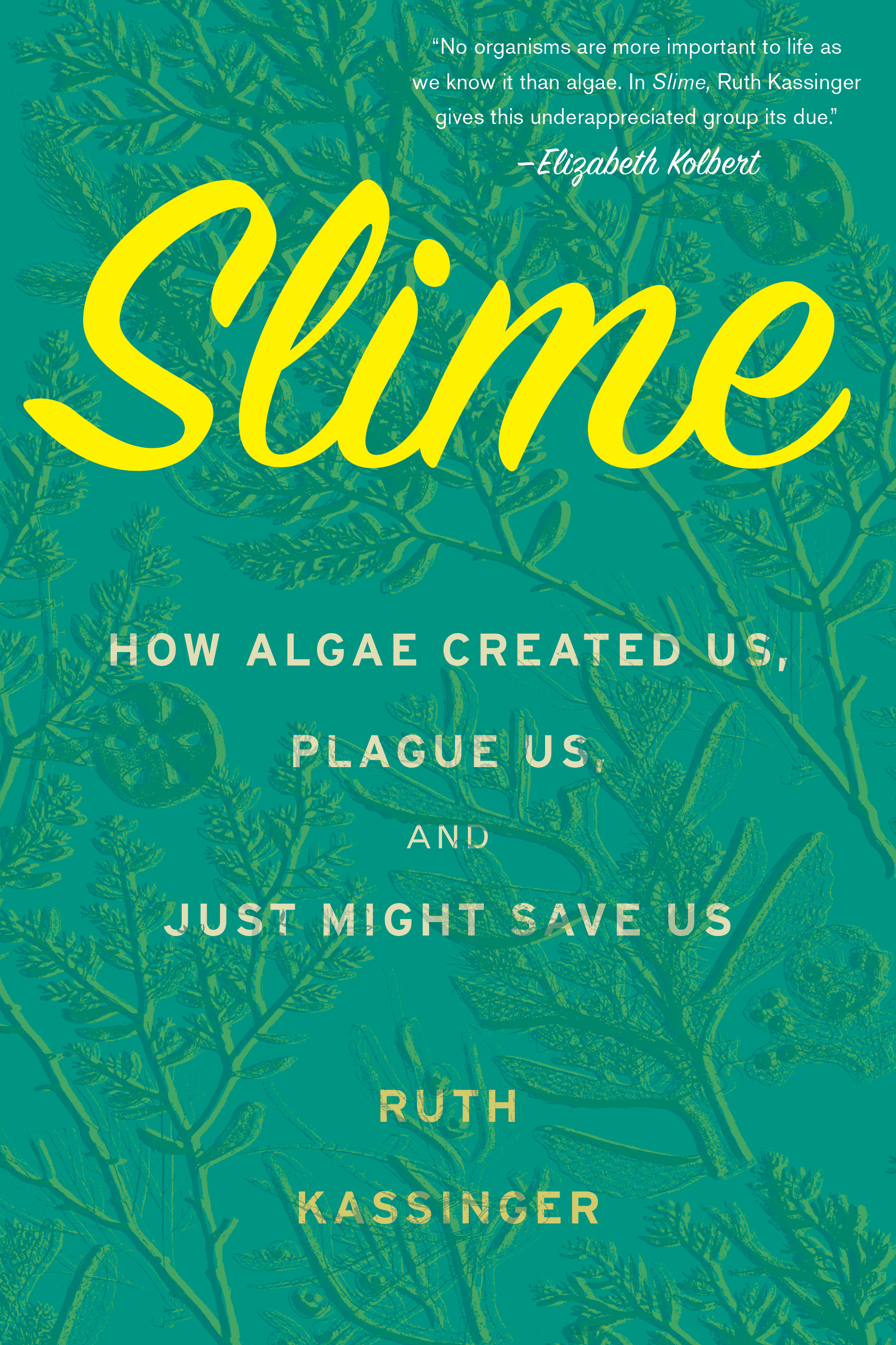 Slime (AudiobookFormat, 2019, HighBridge)