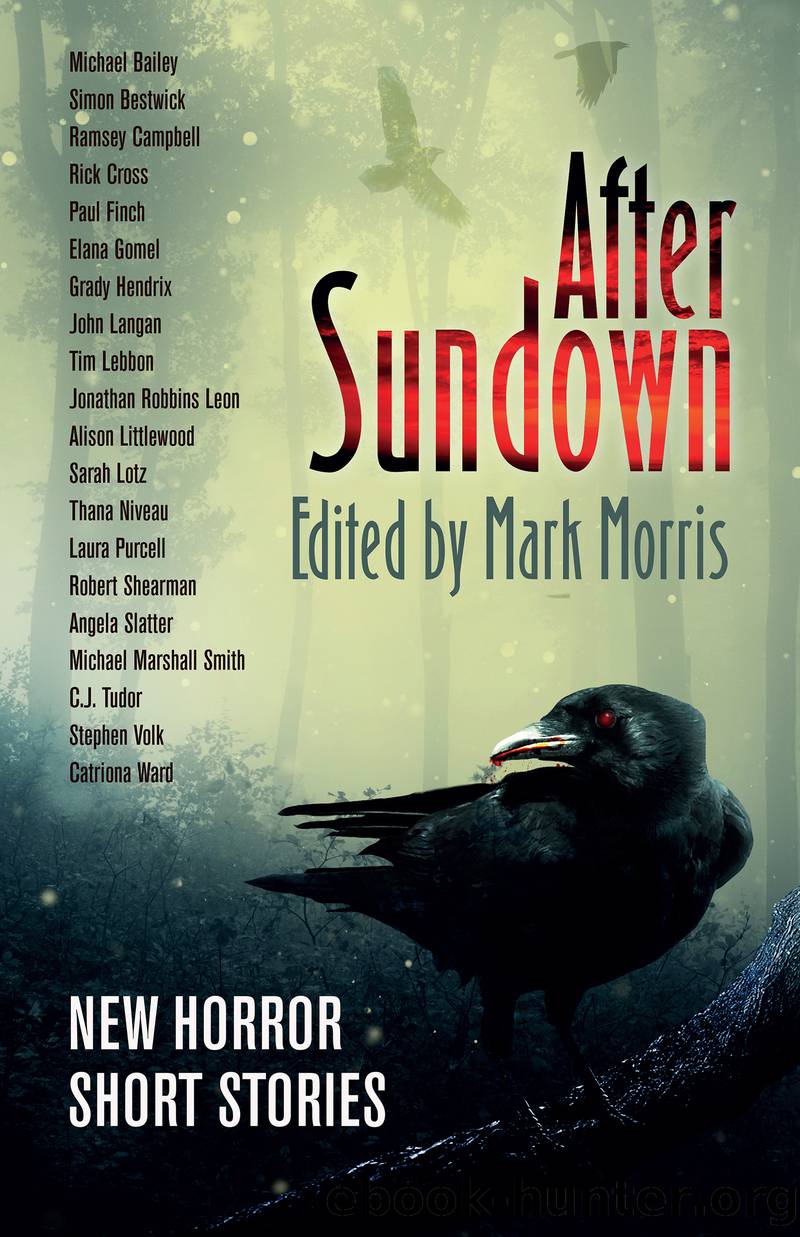 After Sundown (2020, Flame Tree Press)