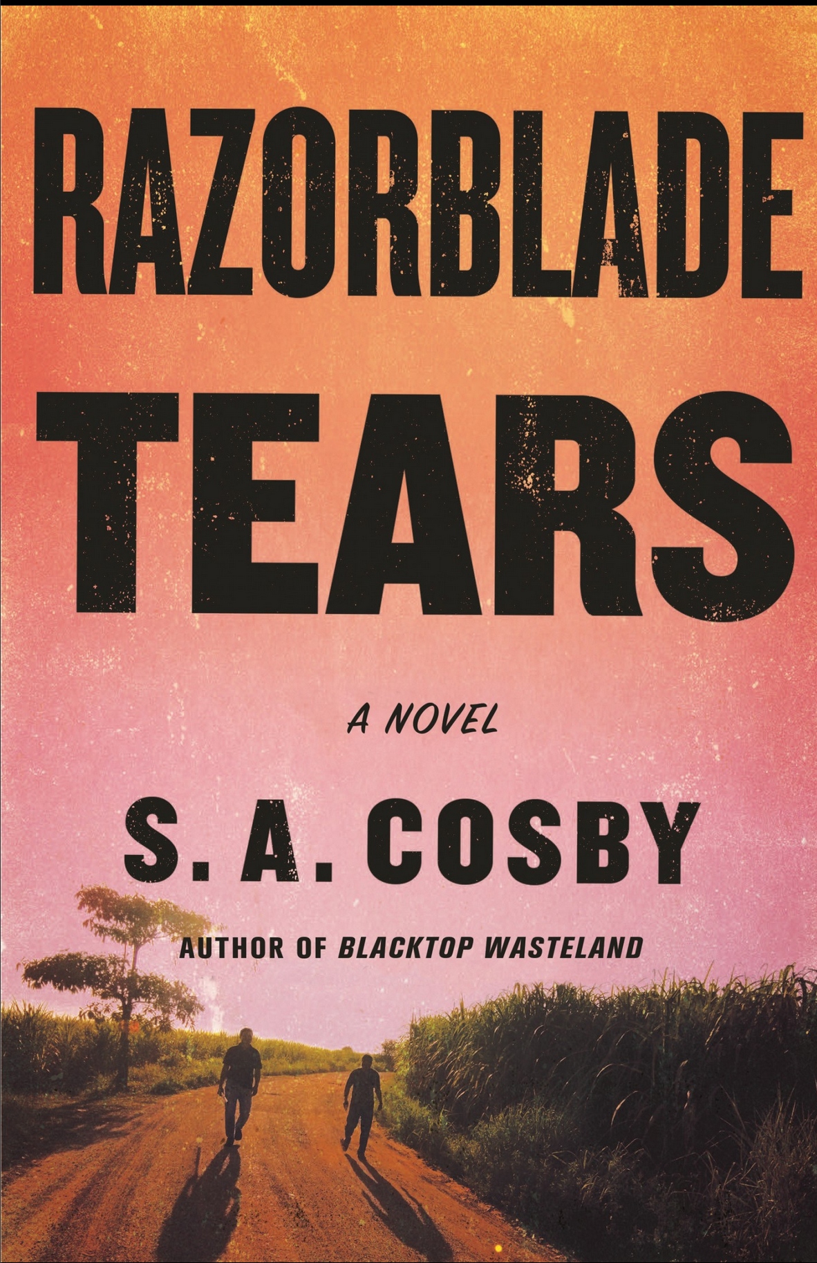 Razorblade Tears (Paperback, 2022, Flatiron Books)