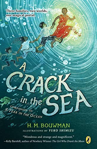 A Crack in the Sea (Paperback, 2019, Puffin Books)