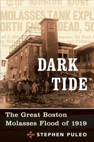 Dark Tide (Paperback, 2004, Beacon Press)