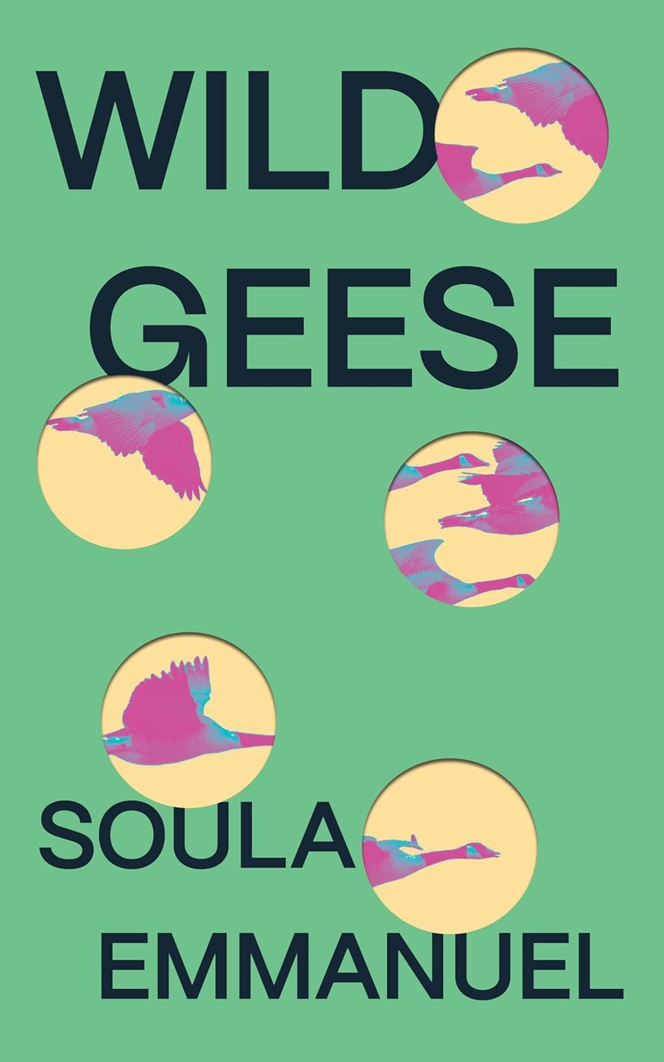 Wild Geese (Paperback, 2023, Feminist Press)