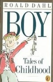 Boy (Hardcover, 2008)