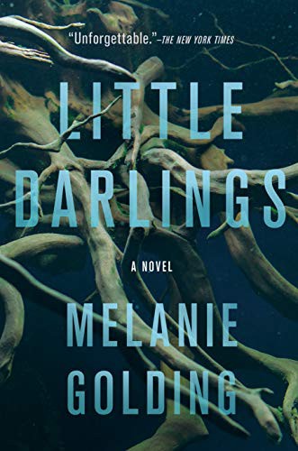 Little Darlings (Paperback, 2020, Crooked Lane Books)