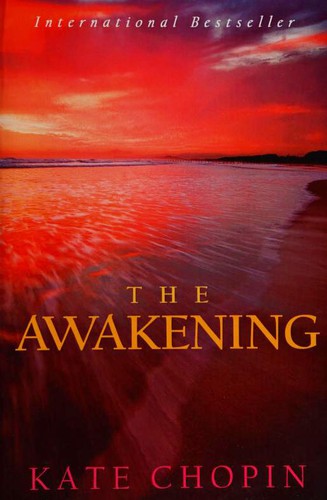 The Awakening (Paperback, 2011, SoHo Books)