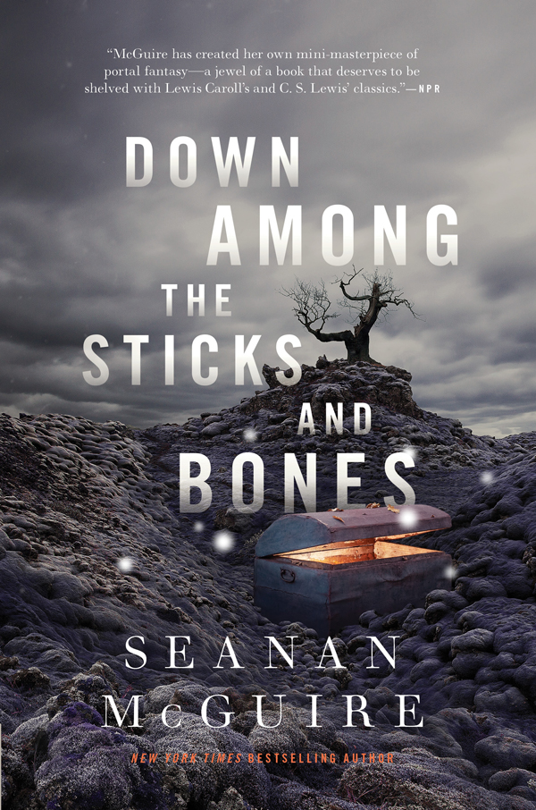 Seanan Mcguire [don't use]: Down Among the Sticks and Bones (2017, Tom Doherty Associates)