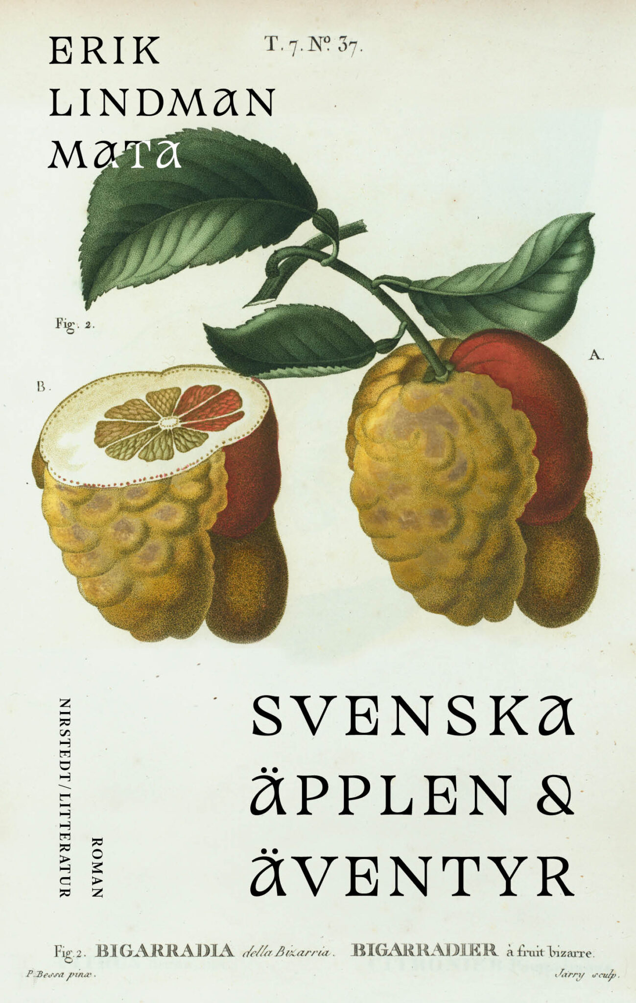 Svenska äpplen & äventyr (Hardcover, Swedish language, Nirstedt/litteratur)