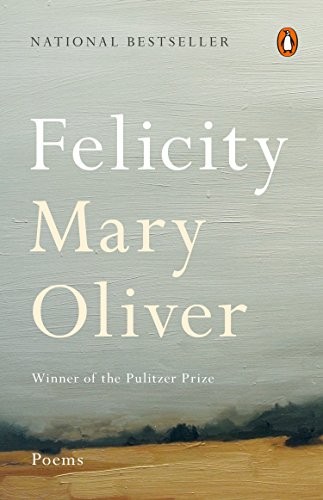 Felicity (Paperback, 2017, Penguin Books)