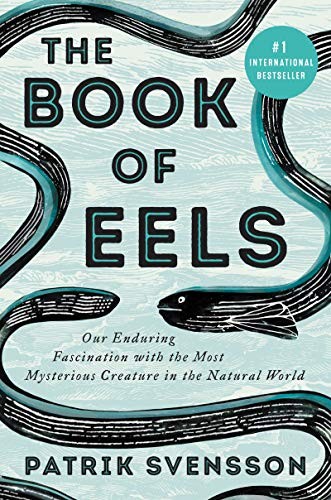 The Book of Eels (Hardcover, 2020, Ecco)
