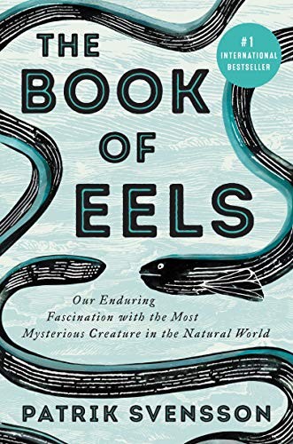 Patrik Svensson: The Book of Eels (Hardcover, 2020, Ecco)