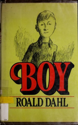 Boy (1984, Farrar, Straus, Giroux)