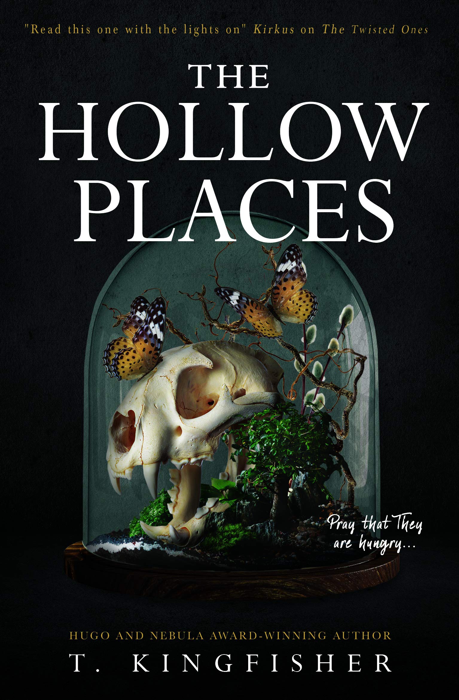 ., T. Kingfisher: The Hollow Places (2020)